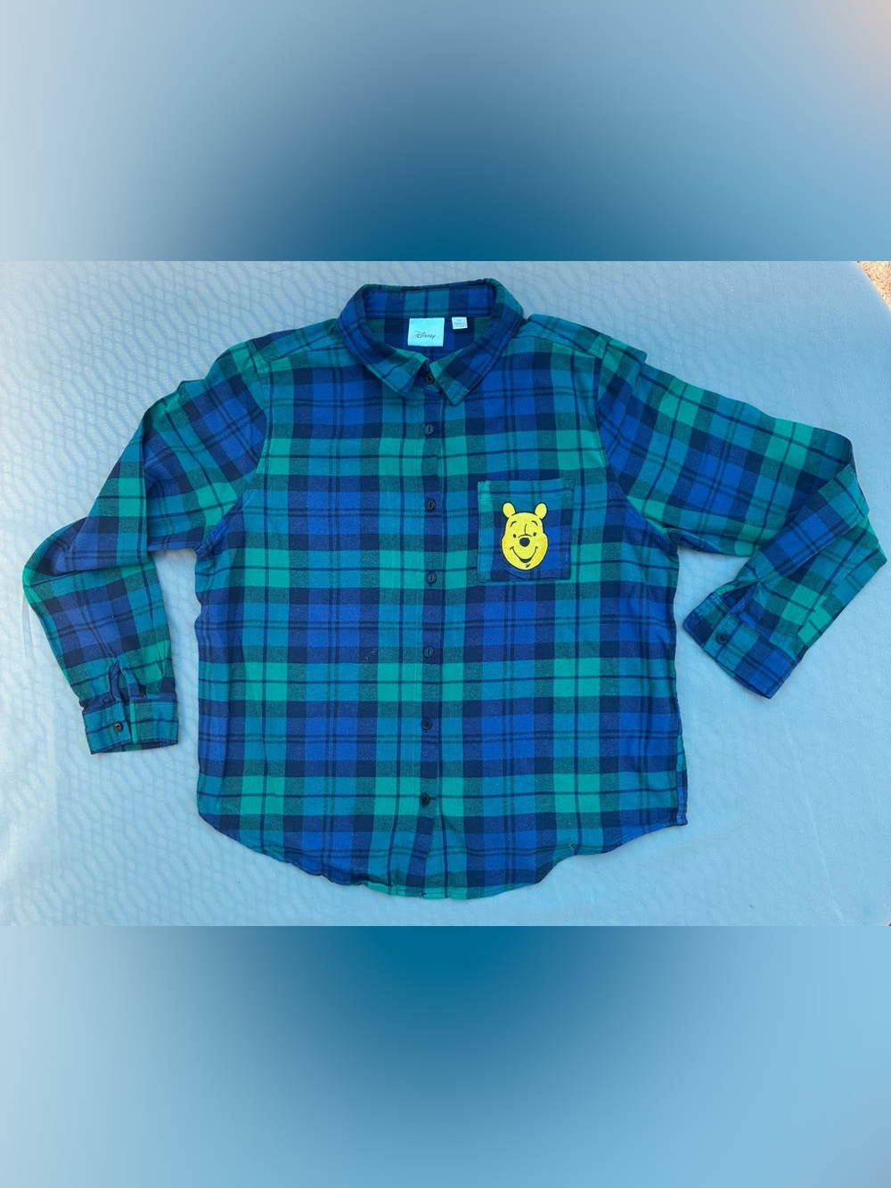 Disney Blue & Green Plaid Winnie the Pooh Button-Down Shirt